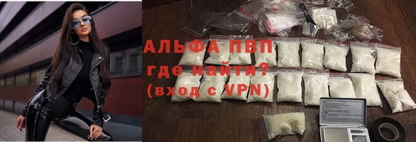 прущие грибы Горнозаводск