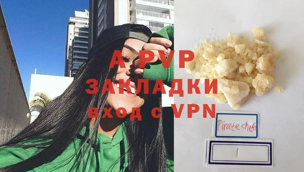 прущие грибы Горнозаводск