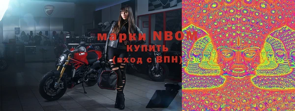 прущие грибы Горнозаводск