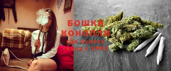 винт Гусиноозёрск