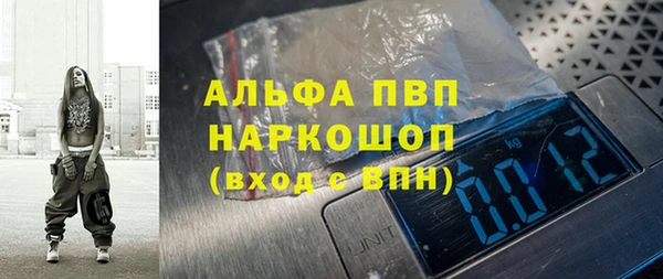 PSILOCYBIN Гусев