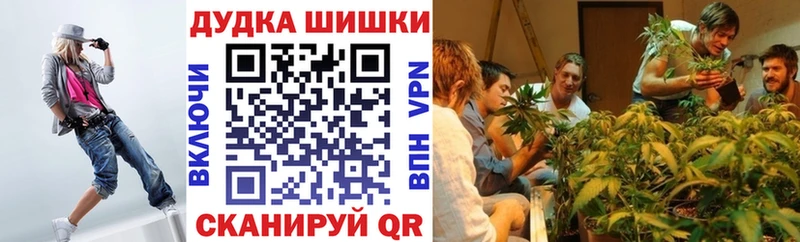 наркошоп  Тосно  Канабис сатива 
