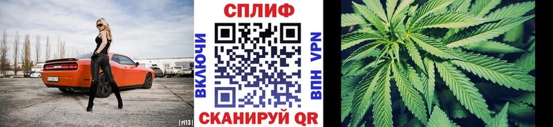 Бошки Шишки план Тосно